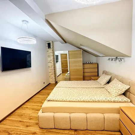 Premium * 斯卡维纳